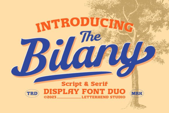 Unlocking Vintage Elegance: Why The Bilany Font Duo is Your Next Design Essential